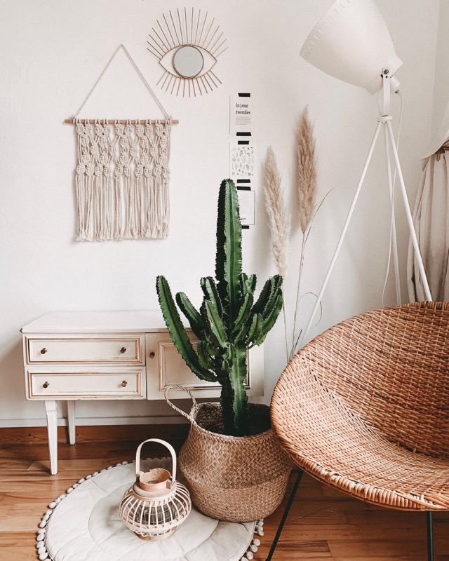 Sunday Shopping: The minimalist laundry kit – soap nuts and wool dryer balls
