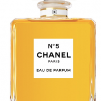 Coco (Gabrielle) Chanel – Widly Successful and Financially Independent