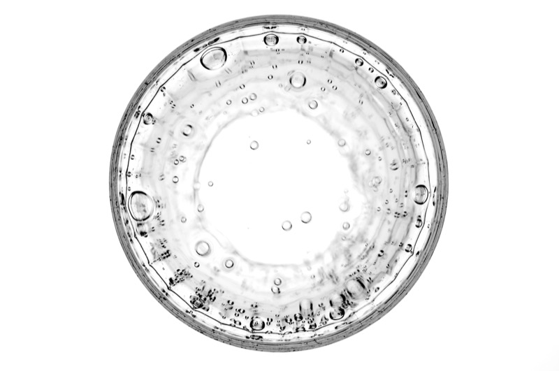 In the world of Save. Spend. Splurge.: Where your gut bacteria determines how fat or slim you are