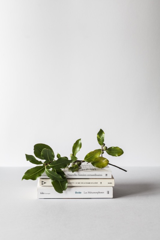 What I read: The End of Spring 2020 Edition